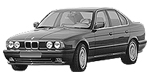 BMW E34 P1A0C Fault Code